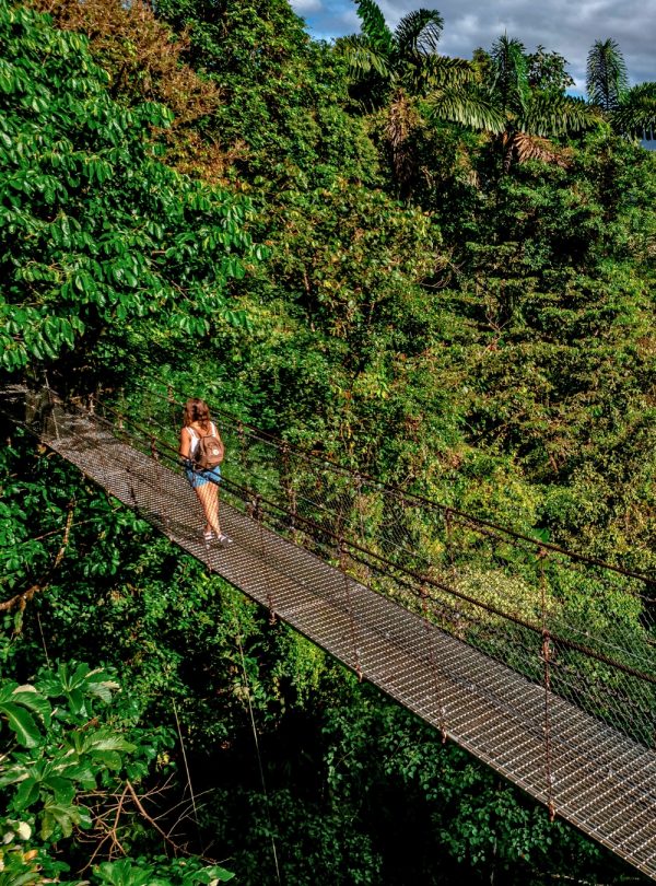 Hanging Bridges